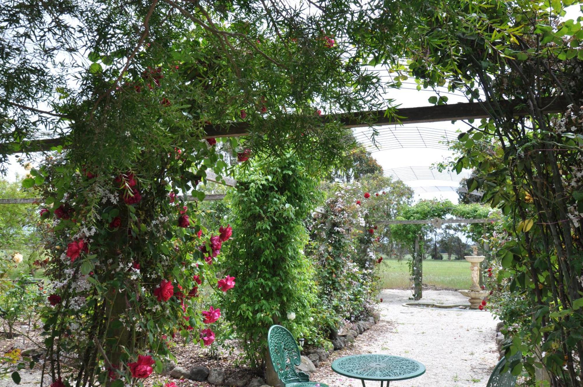 Fairy Wren Cottage Country To Coast Retreat Wallington Quarto foto